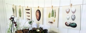 miniposters med växtmotiv vintage collection